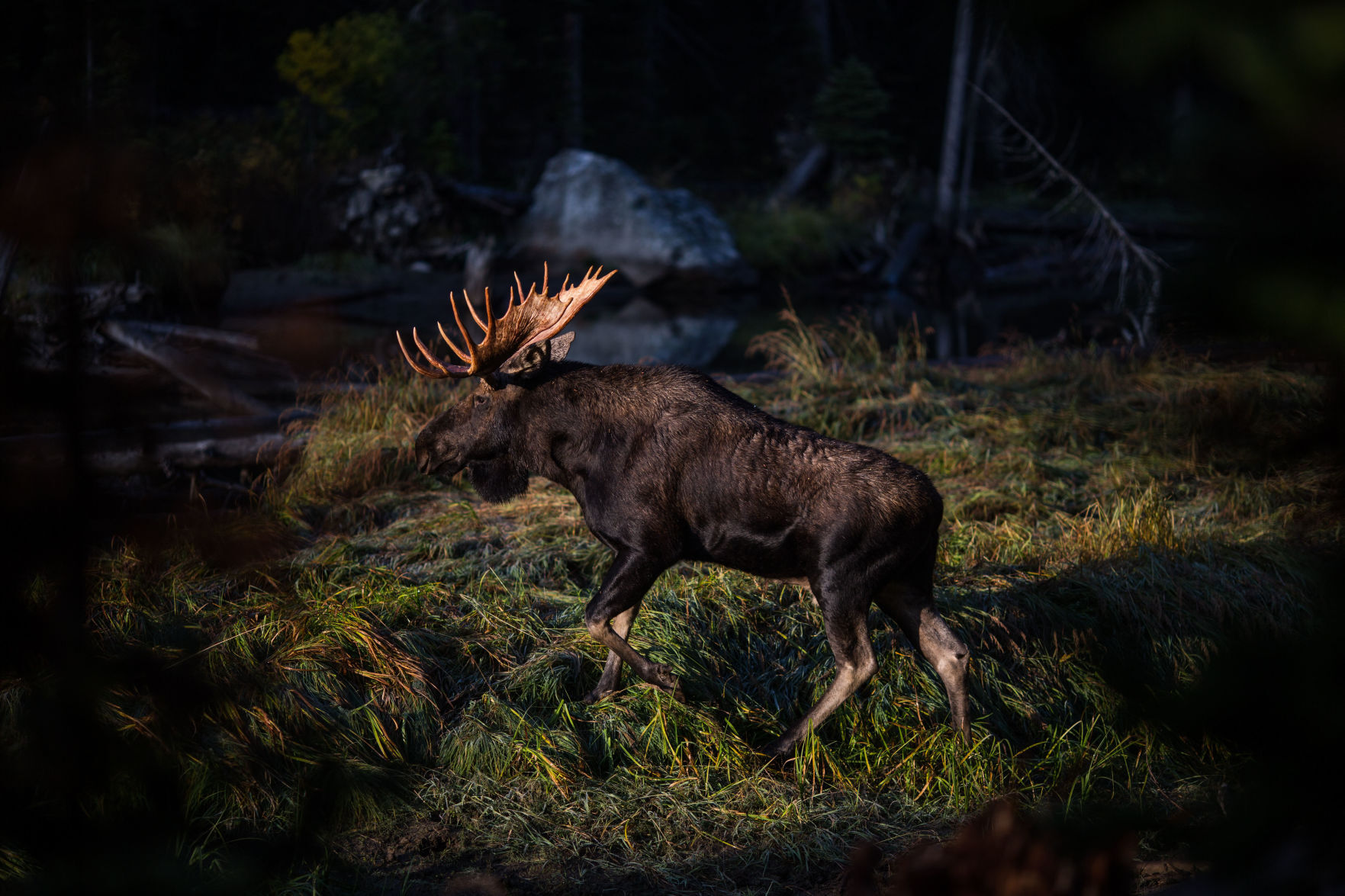 Fall in Grand Teton